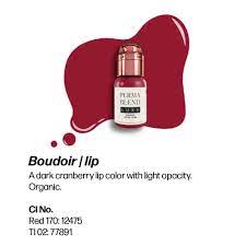 Luxe Boudoir Lip Pigment for PMU Artists - Image 4