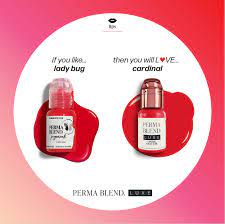 Luxe Cardinal Red Lip Pigment for PMU Artists - Image 3